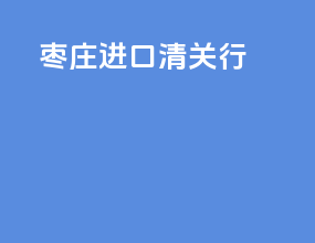 枣庄进口清关行