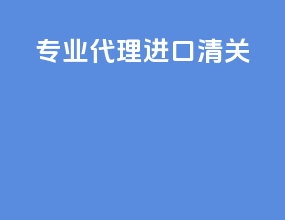 专业代理进口清关