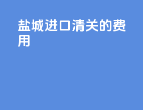 盐城进口清关的费用