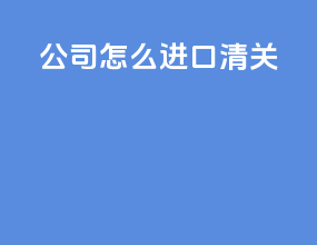 公司怎么进口清关