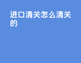 进口清关怎么清关的