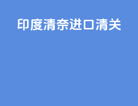印度清奈进口清关