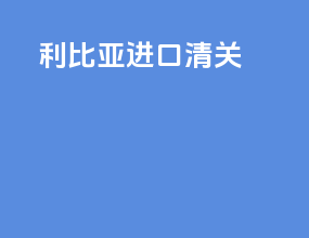 利比亚 进口清关