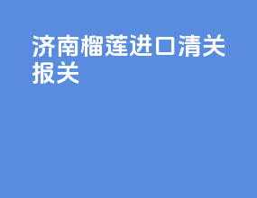 济南榴莲进口清关报关