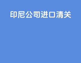 印尼公司进口清关