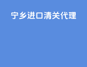 宁乡进口清关代理