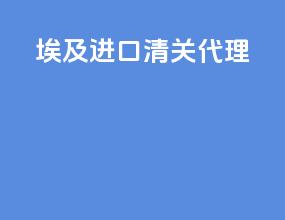 _埃及进口清关代理