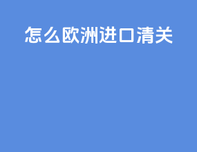 怎么欧洲进口清关