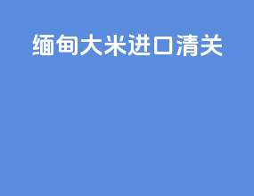 缅甸大米进口清关