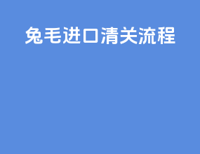 天马进口清关流程