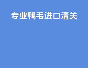 专业羊毛进口清关