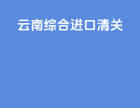 云南综合进口清关