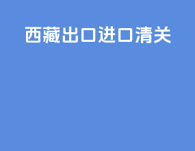 西藏出口进口清关