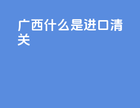 广西什么是进口清关