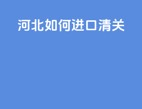 湖北如何进口清关