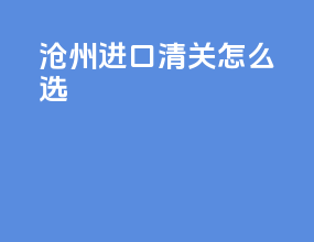 沧州进口清关怎么选