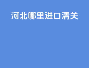河北哪里进口清关