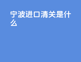 宁波进口清关是什么