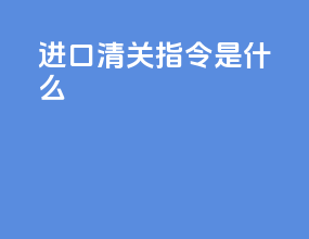 进口清关指令是什么