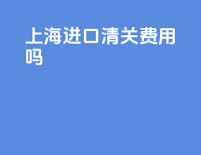 上海进口清关费用吗