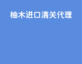 油墨进口清关代理