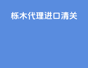 栎木代理进口清关