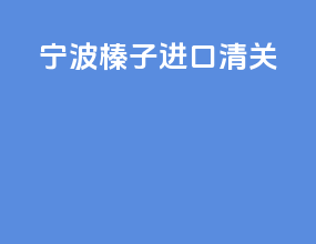 宁波榛子进口清关