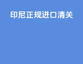 印尼正规进口清关