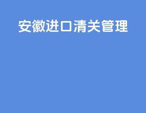 安徽进口清关管理