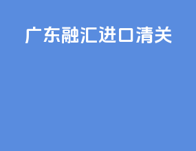 广东融汇进口清关