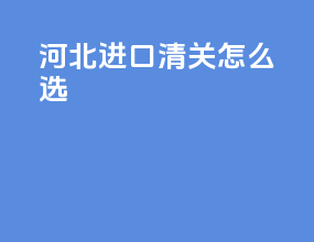 河北进口清关怎么选