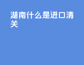 湖南什么是进口清关