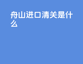 舟山进口清关是什么