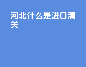 河北什么是进口清关