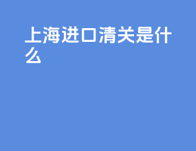 上海进口清关是什么