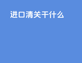 进口清关干什么
