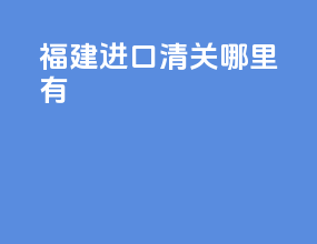 福建进口清关哪里有