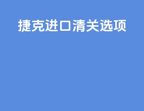 捷克进口清关选项