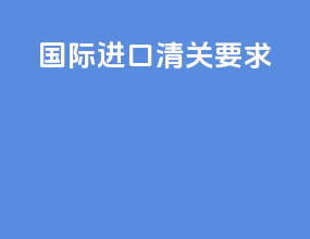 国际进口清关要求