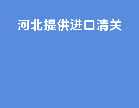 河北提供进口清关