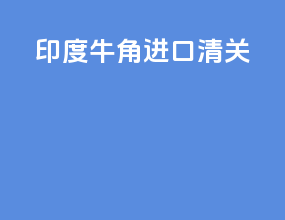 印度牛角进口清关