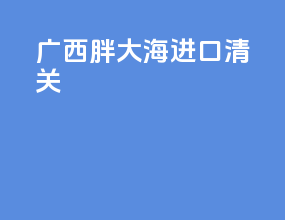 广西胖大海进口清关