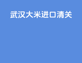 武汉大米进口清关