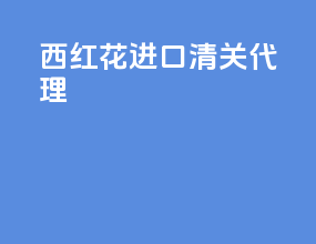 西红花进口清关代理