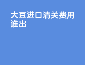 大豆进口清关费用谁出
