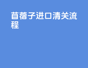 苜蓿子进口清关流程