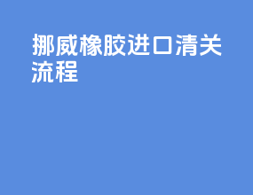 挪威橡胶进口清关流程
