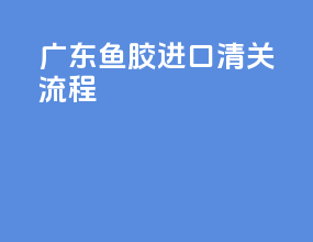 广东鱼胶进口清关流程