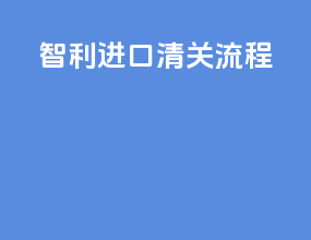 智利ata进口清关流程