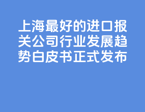 2026 上海最好的进口报关公司行业发展趋势白皮书正式发布